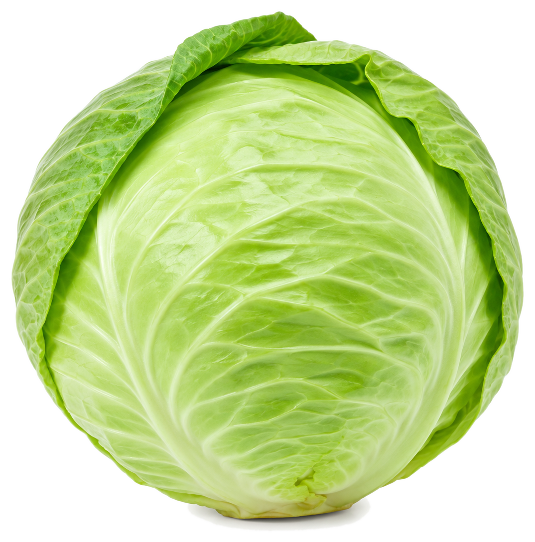 Kubis